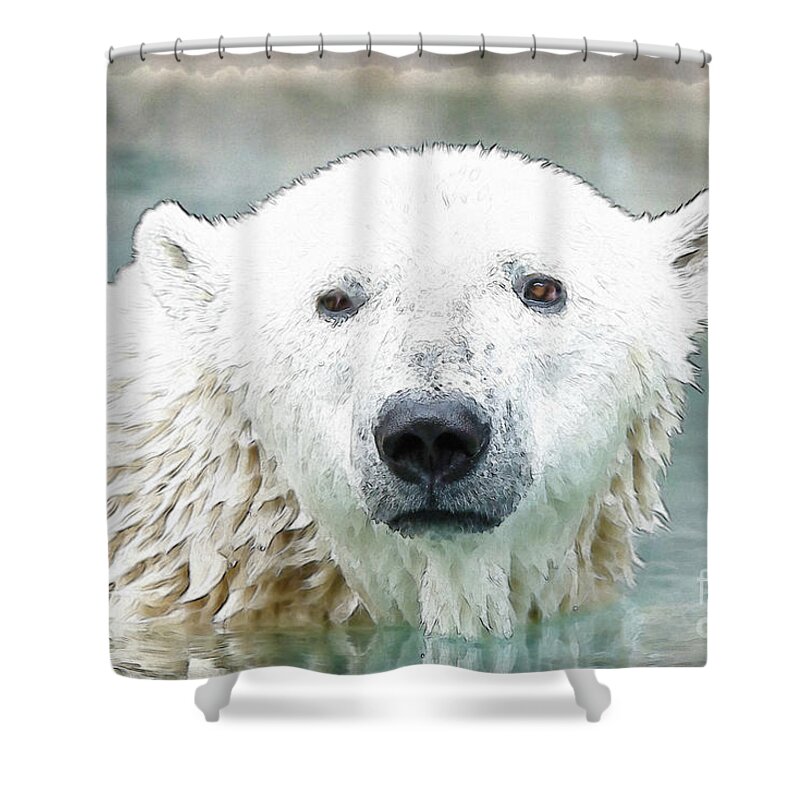 Cincinnati Zoo Shower Curtain featuring the photograph Wet Polar Bear by Ed Taylor