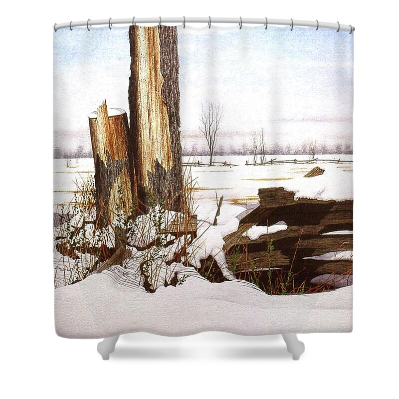 Snow Shower Curtain featuring the painting Wet Snow by Conrad Mieschke
