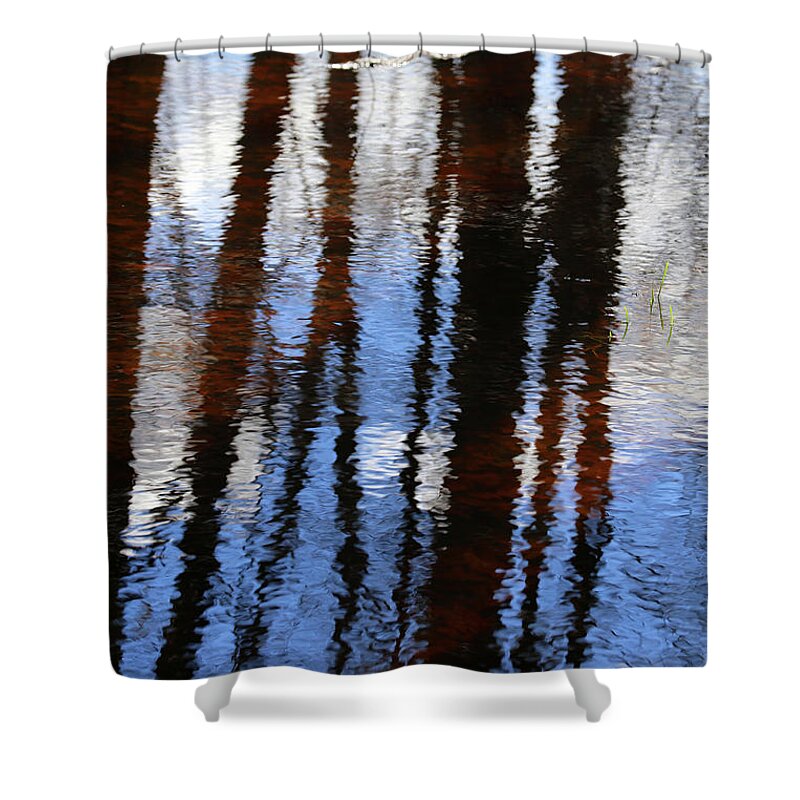 Wetland Shower Curtain featuring the photograph Wetland Reflections 200 by Mary Bedy