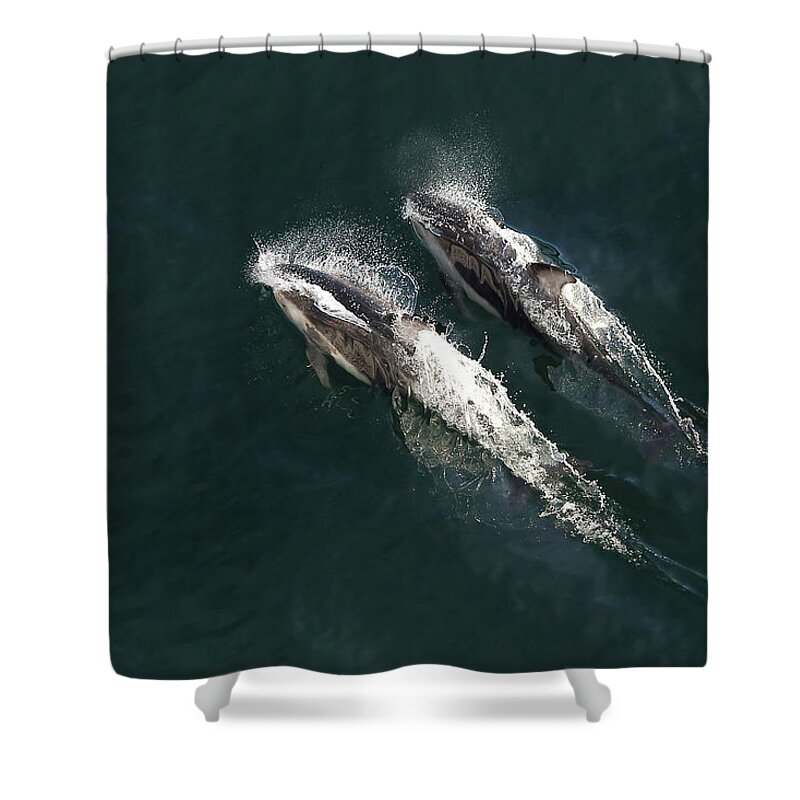 Whale Shower Curtain featuring the digital art Whale by Maye Loeser