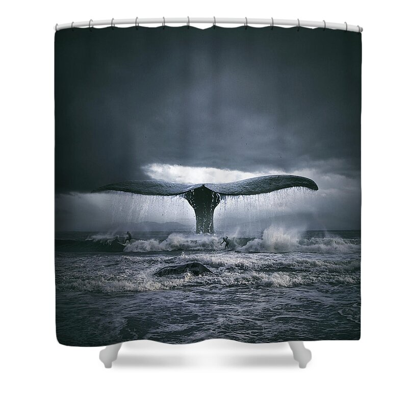 #faatoppicks Shower Curtain featuring the photograph Whale'nsurf by Tomasz Zaczeniuk