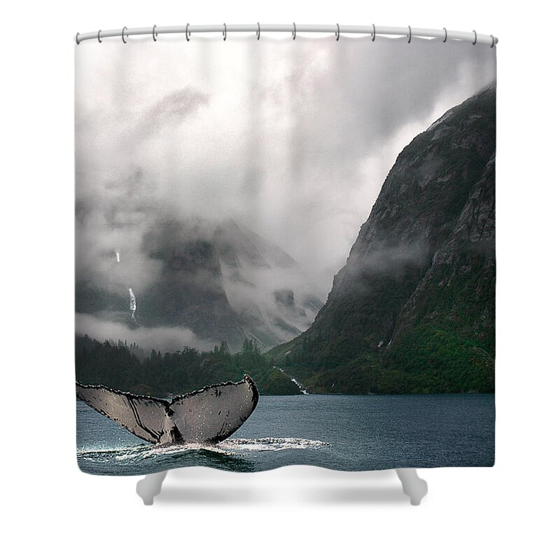 Whale Shower Curtain featuring the photograph Whale's Tale by Harry Spitz