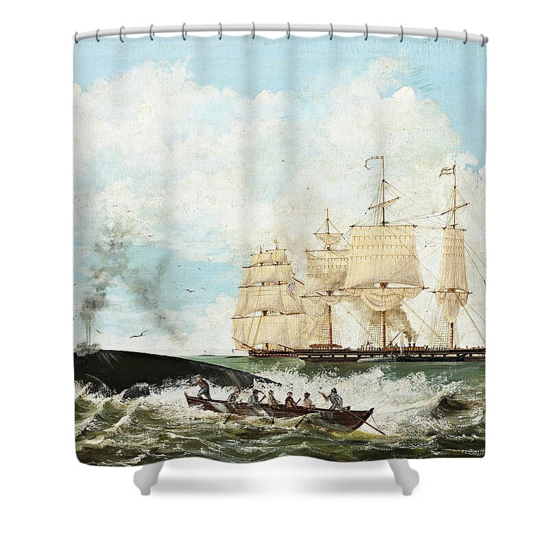 American School Shower Curtain featuring the painting Whaling by MotionAge Designs