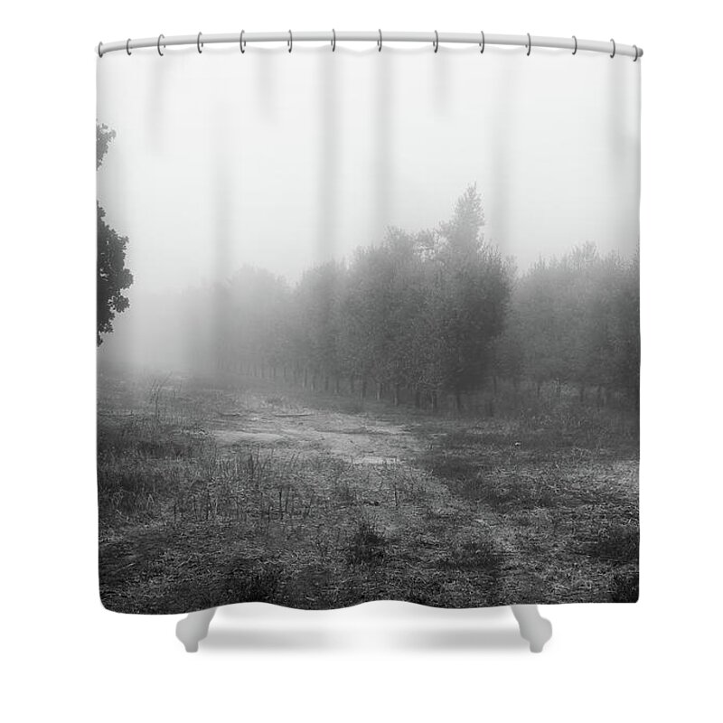 Background Shower Curtain featuring the photograph What a foggy morning 03 by Arik Baltinester