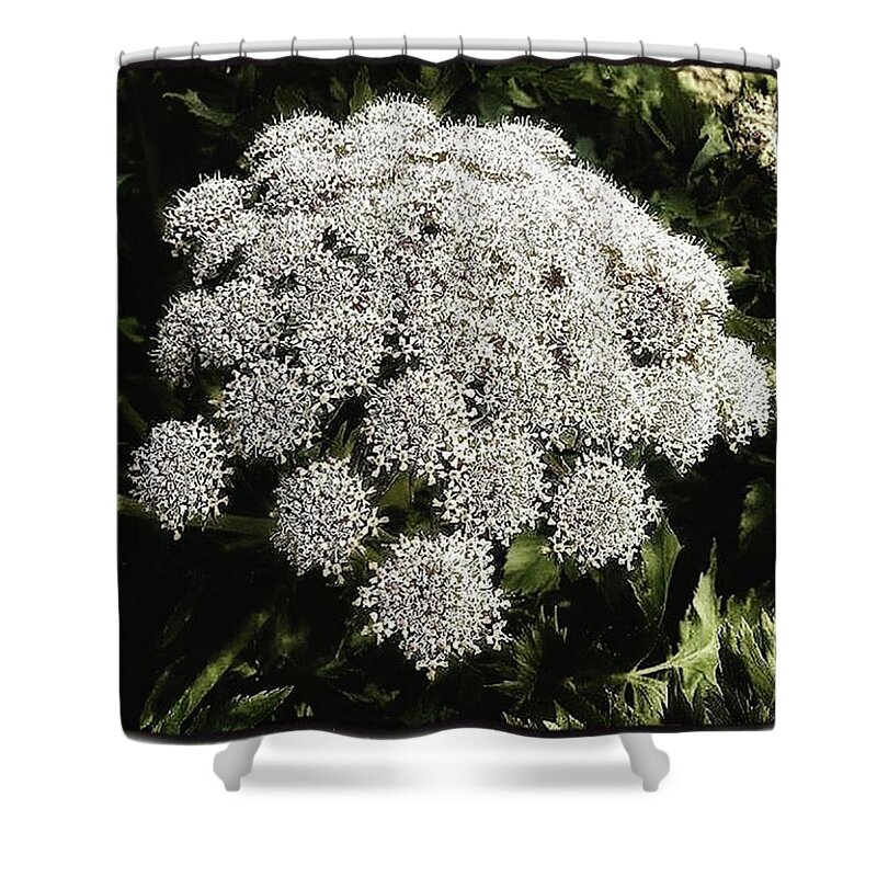 Flowers Shower Curtain featuring the photograph What Flower Is This? I Think It's by Mr Photojimsf