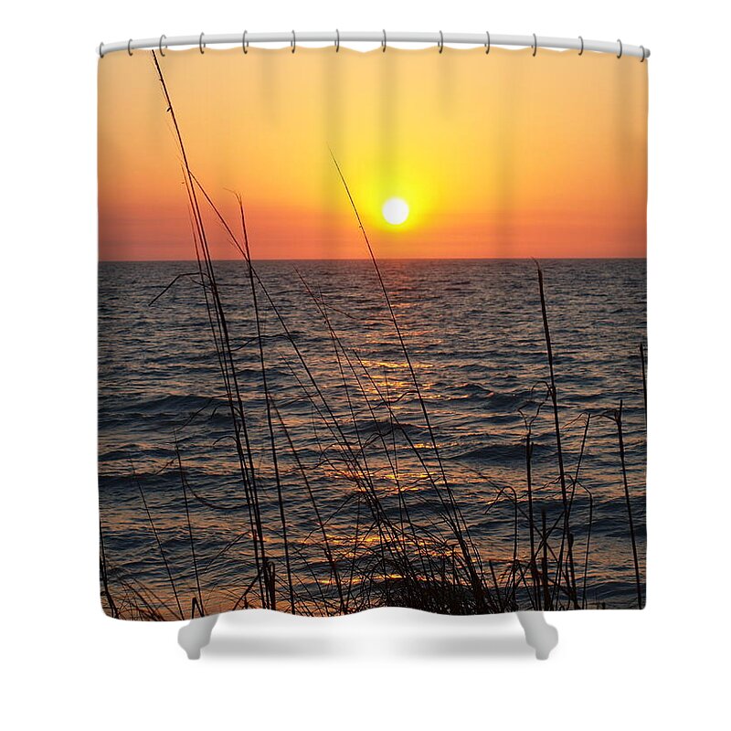 Sunset Prints Shower Curtain featuring the photograph What God Gave To Adam by Robert Margetts