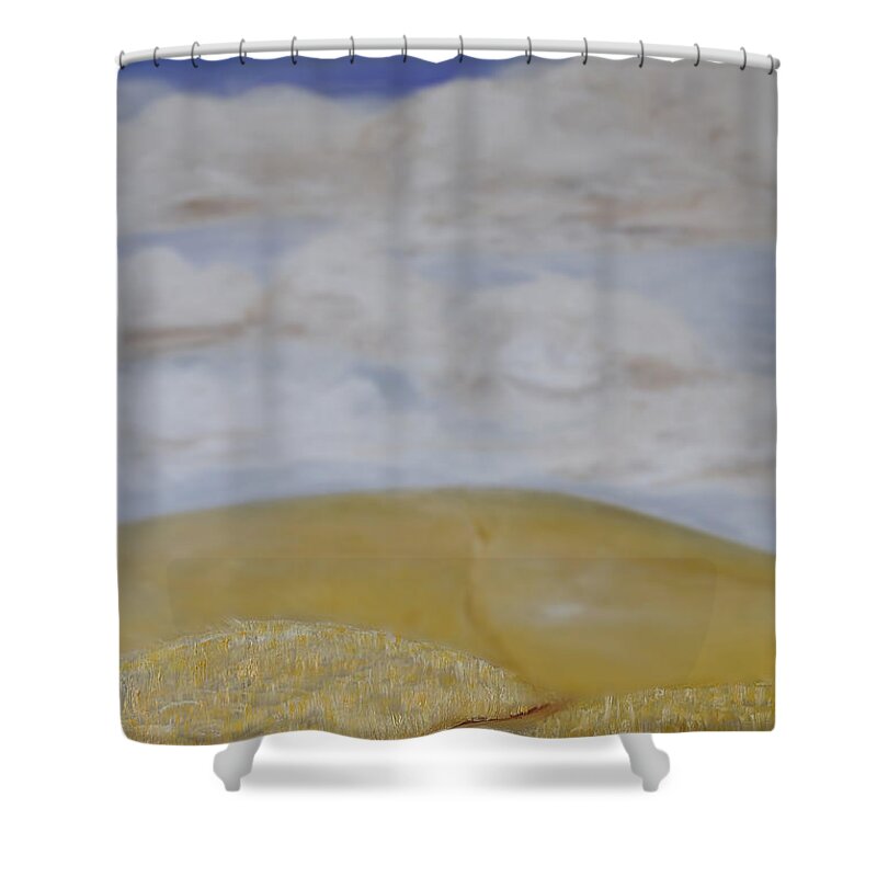 Sky Shower Curtain featuring the painting What is Beyond? by Shelley Myers