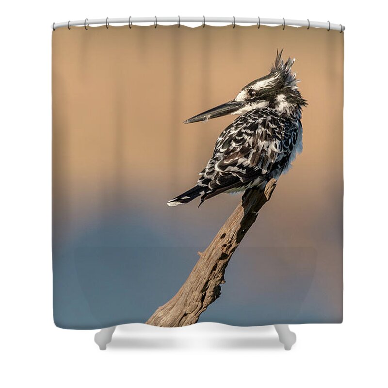 Africa Shower Curtain featuring the photograph What Was That You Said by James Capo