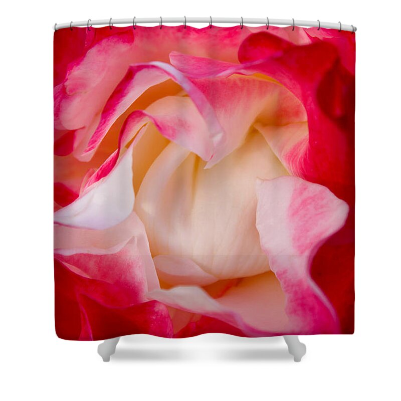 Susan Vineyard Shower Curtain featuring the photograph Whats in a Name by Susan Vineyard