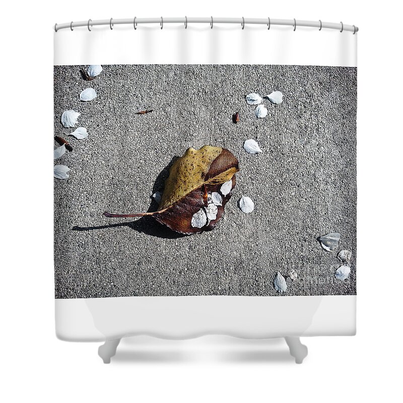 Nature Shower Curtain featuring the photograph When Petals Met Leaf by Fei A