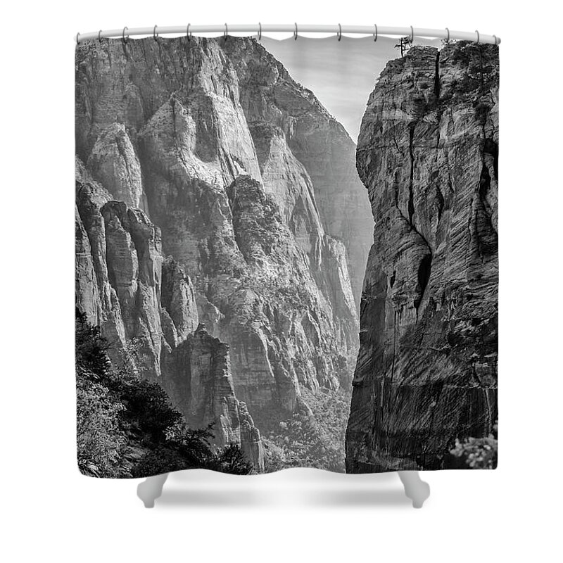 Zion Shower Curtain featuring the photograph Where Angels Land by Jim Cook