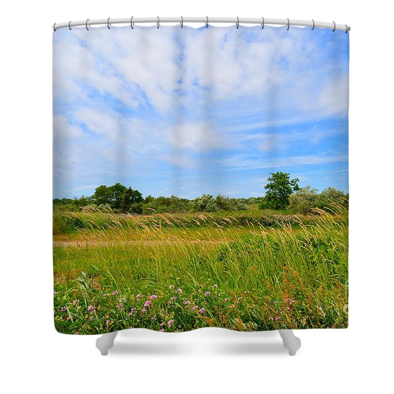 Landscape Shower Curtain featuring the photograph Where Birds Fly by Dani McEvoy