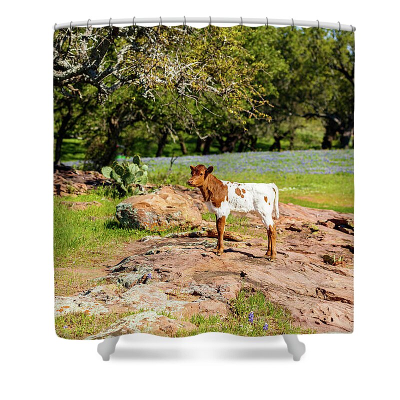 African Breed Shower Curtain featuring the photograph Where's My Mother? by Raul Rodriguez