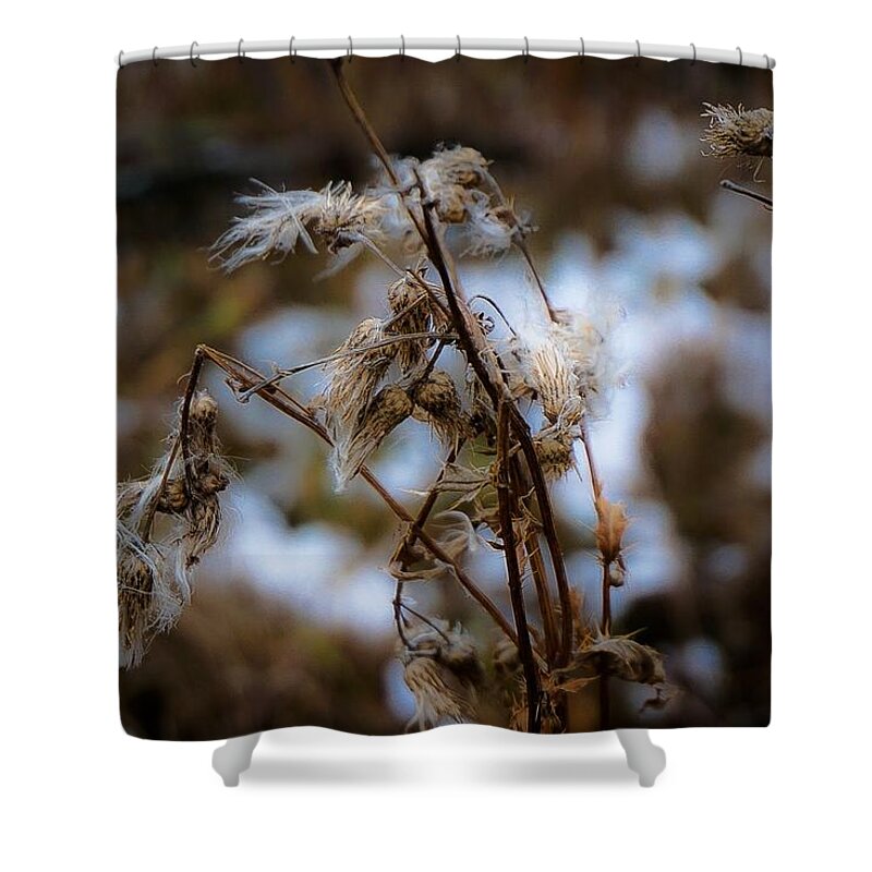 Fall Landscape Photograph Shower Curtain featuring the photograph Whisp of Winter by Desmond Raymond