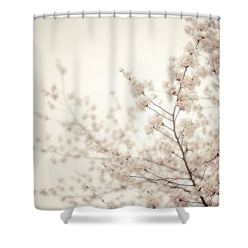 Spring Nyc Shower Curtains