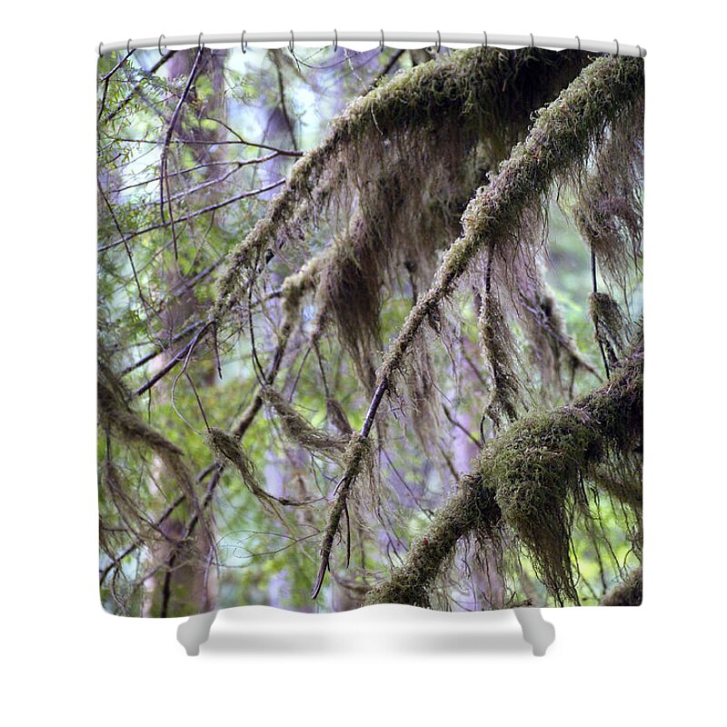 Landscape Shower Curtain featuring the photograph Whisper by Emerita Wheeling