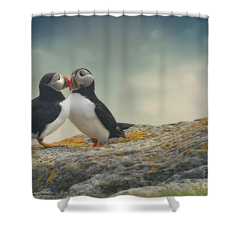 Puffin Shower Curtain featuring the digital art Taylor and Kelcie by Jim Hatch
