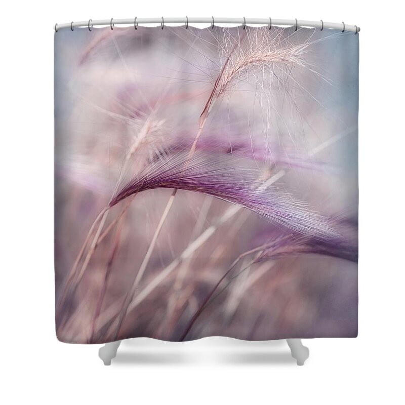 Barley Shower Curtain featuring the photograph Whispers In The Wind by Priska Wettstein