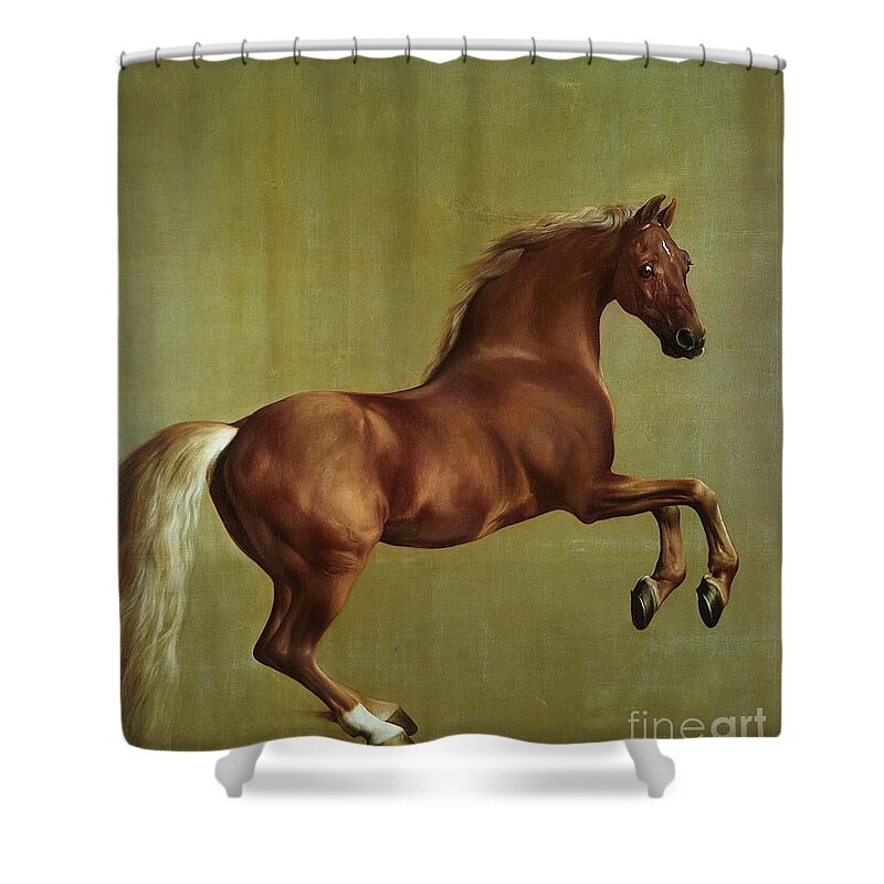 Whistlejacket Shower Curtain featuring the painting Whistlejacket by George Stubbs