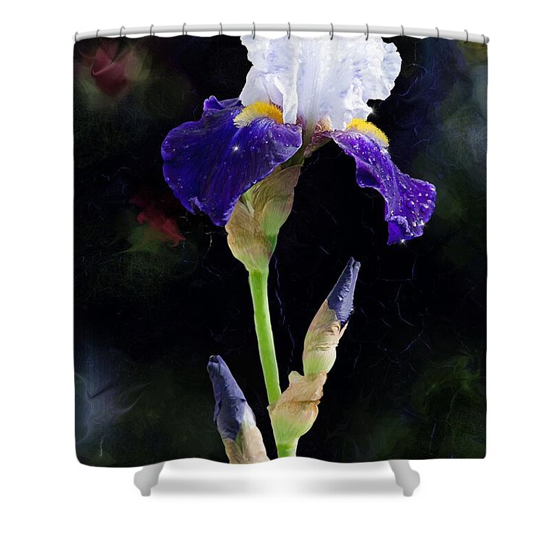 Beautiful Shower Curtain featuring the digital art White and Blue iris by Debra Baldwin