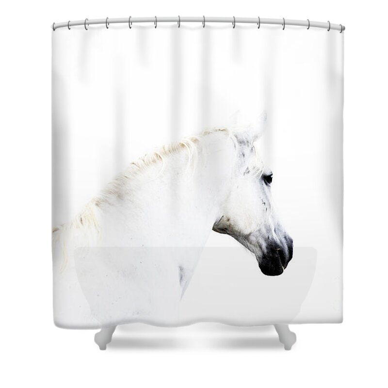 Lipica Stud Shower Curtain featuring the photograph White Beauty of Lipica by Carien Schippers