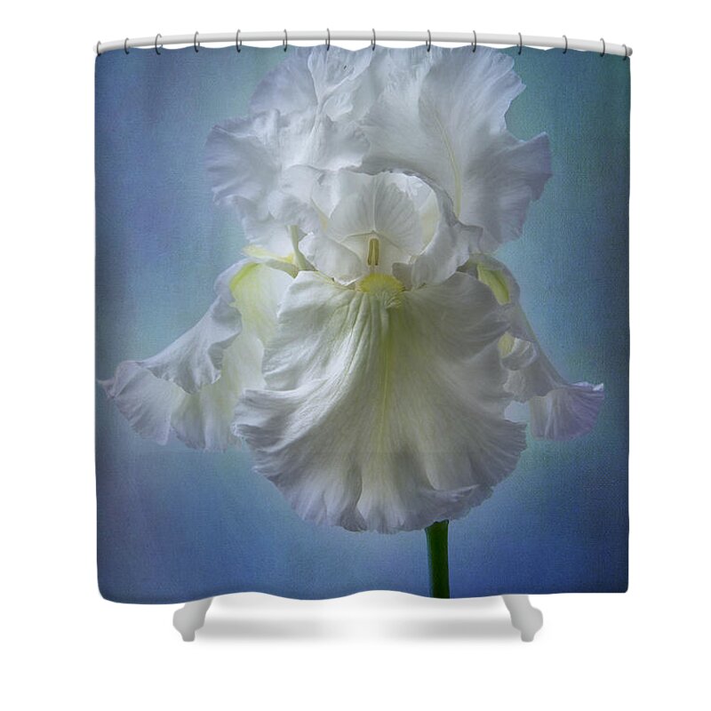 White Iris Shower Curtain featuring the photograph White Bianca by Marina Kojukhova