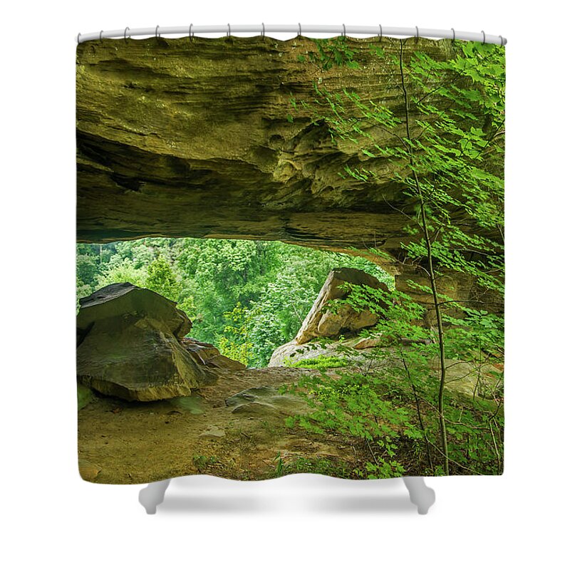 Mill Creek Lake Shower Curtain featuring the photograph White Branch Arch by Ulrich Burkhalter