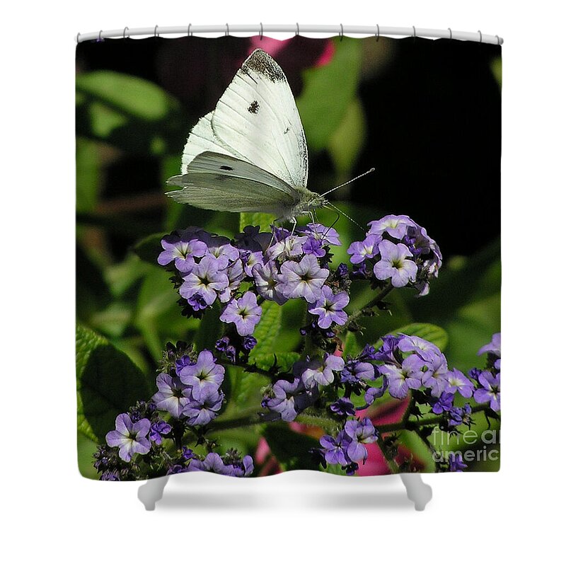 White Shower Curtain featuring the photograph White Butterfly by Louise Magno