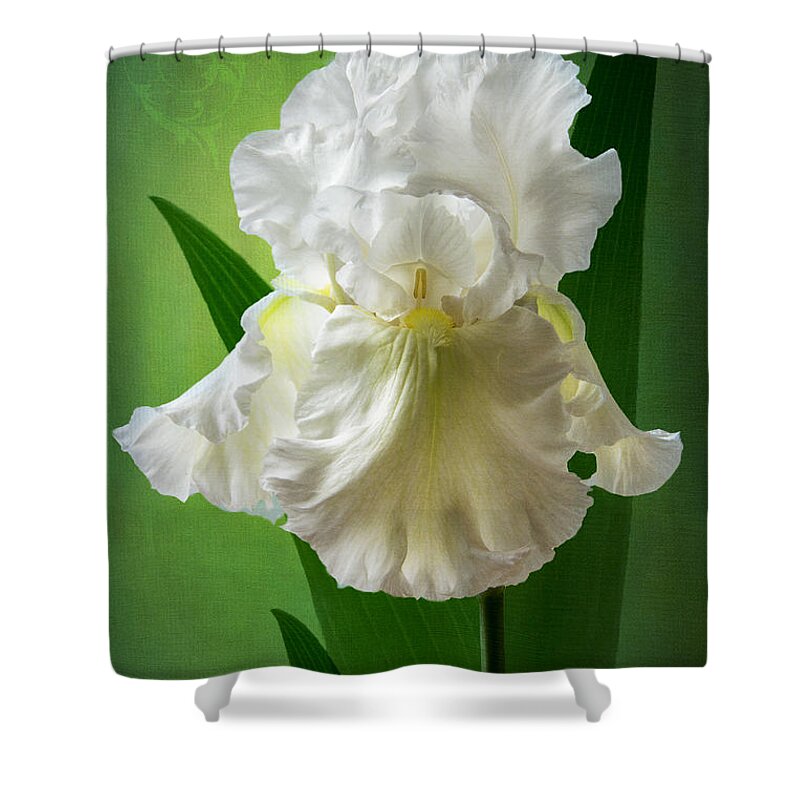 White Iris Shower Curtain featuring the photograph White Crown by Marina Kojukhova