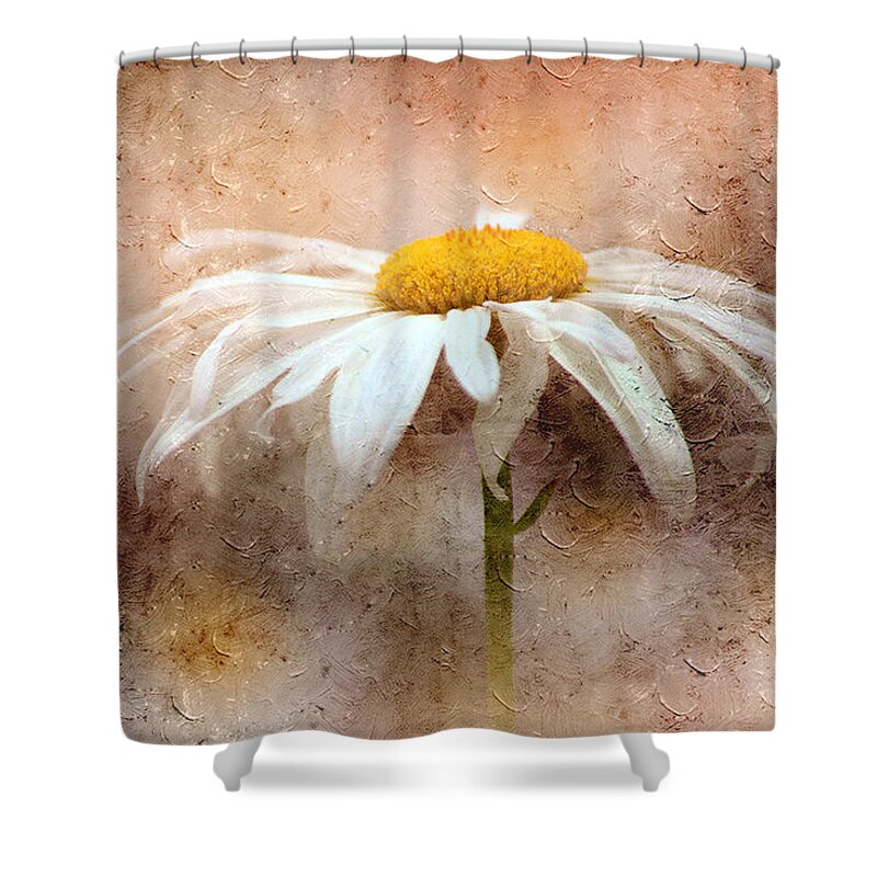 Art Shower Curtain featuring the photograph White Daisy by Joan Han
