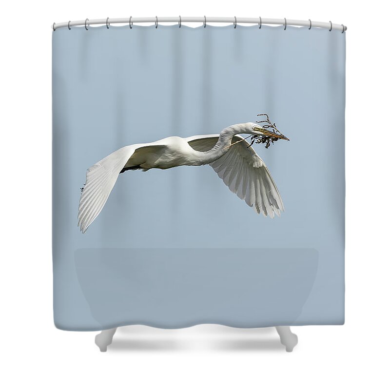 Great Egret Shower Curtain featuring the photograph White Egret 2016-1 by Thomas Young