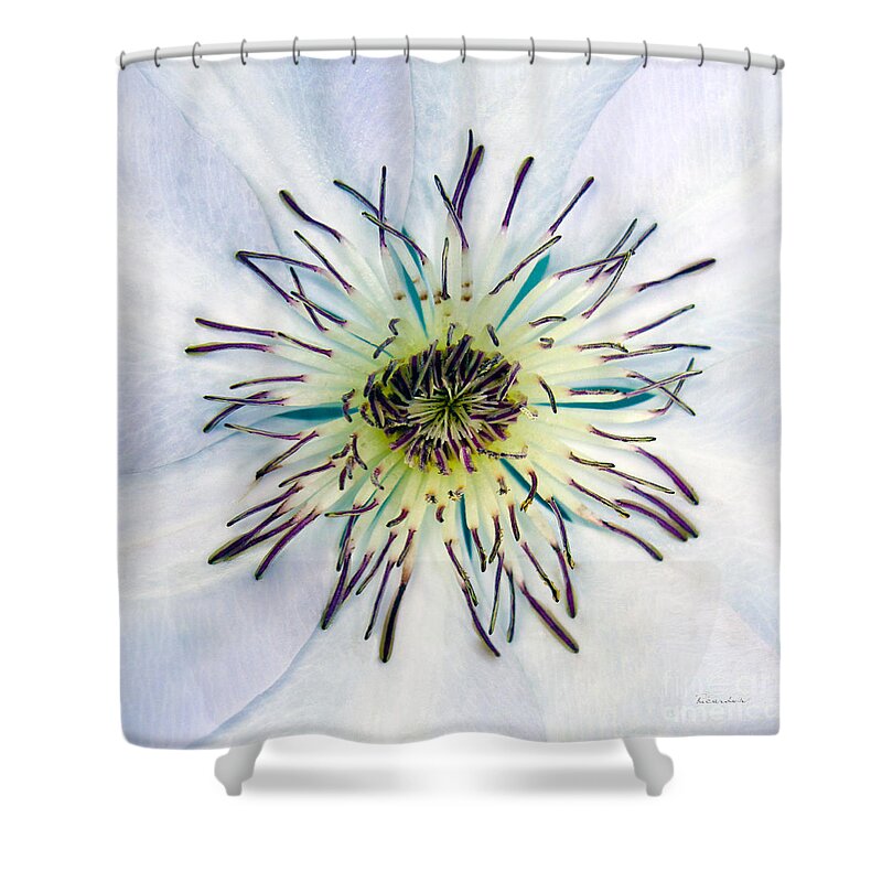 4922a Shower Curtain featuring the photograph White Expressive Clematis Flower Macro Photo 4922 by Ricardos Creations