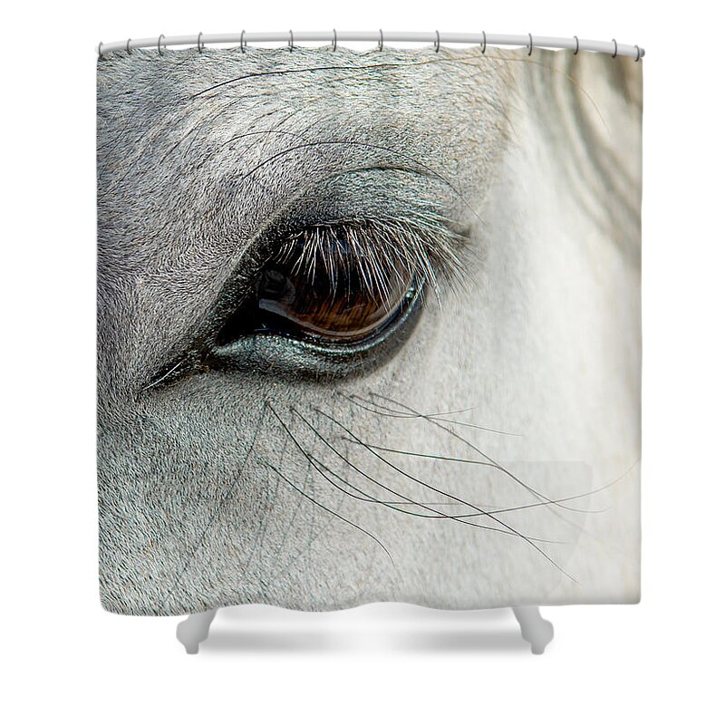 Horse Shower Curtain featuring the photograph White Horse Eye by Andreas Berthold