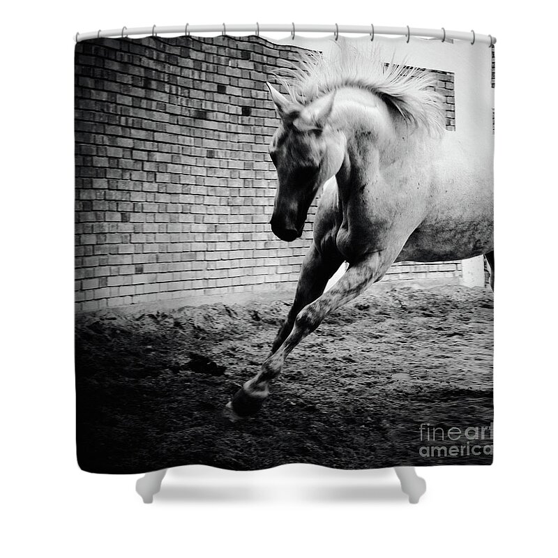 Horse Shower Curtain featuring the photograph White horse galloping Black and White photography by Dimitar Hristov