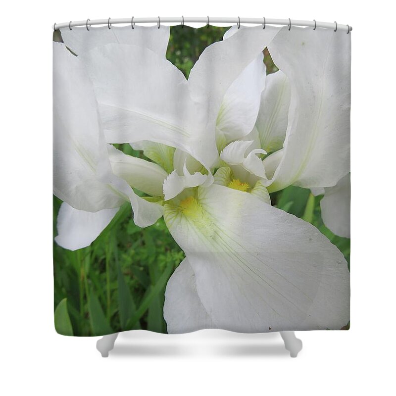 Iris Shower Curtain featuring the photograph White Iris by Judith Lauter