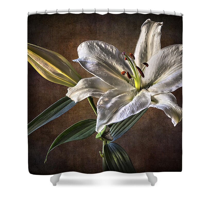 Lily Shower Curtain featuring the photograph White Lily by Endre Balogh