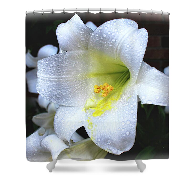 Lily Shower Curtain featuring the digital art Lily with droplets by Bonnie Willis