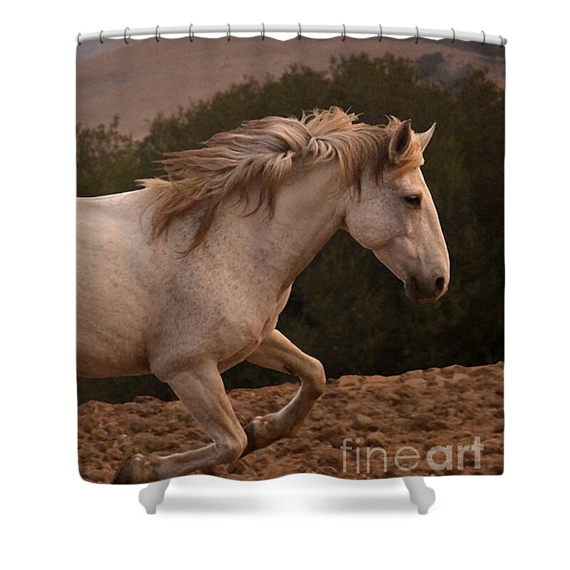 Rtf Ranch Shower Curtain featuring the photograph White Mare Gallops #1 - Close Up Brighter by Heather Kirk