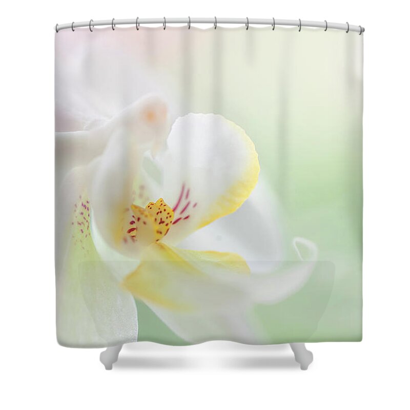 Jenny Rainbow Fine Art Photography Shower Curtain featuring the photograph White Orchid Macro 24. Series Elegance by Jenny Rainbow
