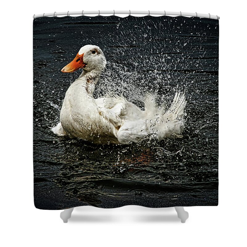 Hdr Photography Shower Curtain featuring the photograph White Pekin Duck by Richard Gregurich