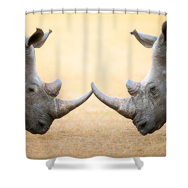 Rhinoceros Shower Curtain featuring the photograph White Rhinoceros head to head by Johan Swanepoel