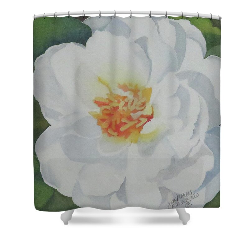 Floral Shower Curtain featuring the painting White Rose by Judy Mercer