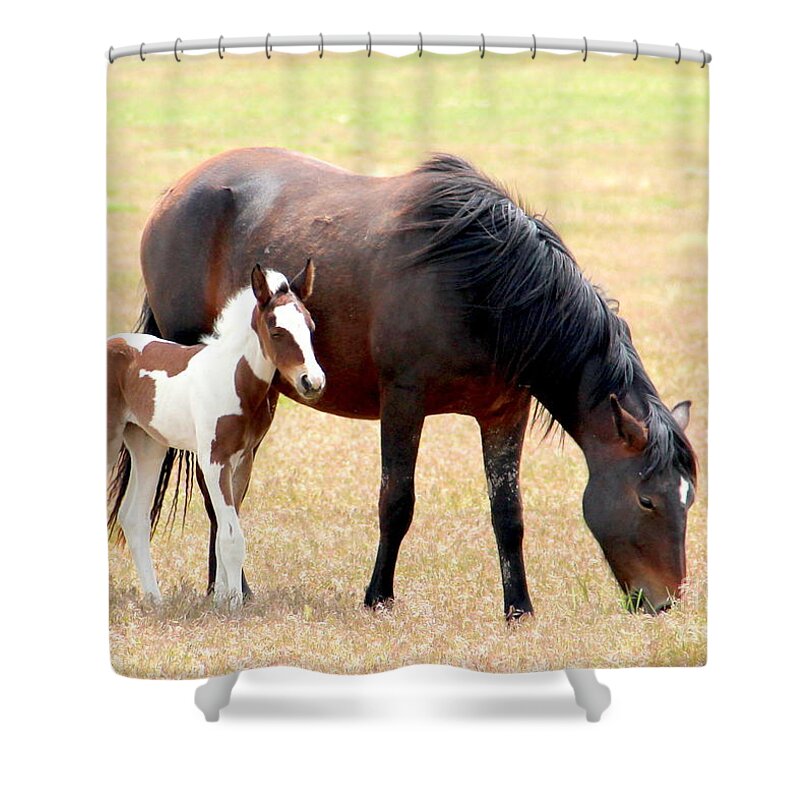 Wild Mustangs Shower Curtain featuring the photograph White Socks by Carol Komassa