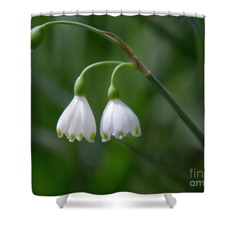 National Arboretum Shower Curtain featuring the photograph White spring by Agnes Caruso