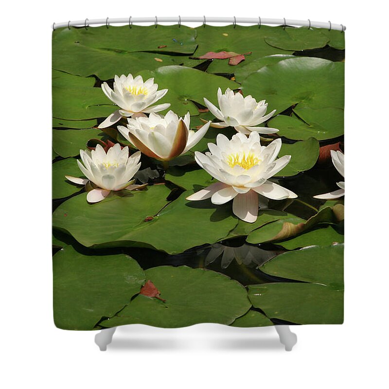 Water Lilies Shower Curtain featuring the photograph White Water Lilies by Art Block Collections
