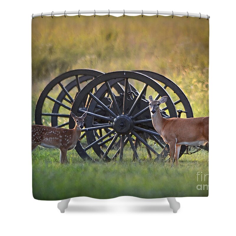 Nature Shower Curtain featuring the photograph Whitetail Deer At Battlefield by Nava Thompson