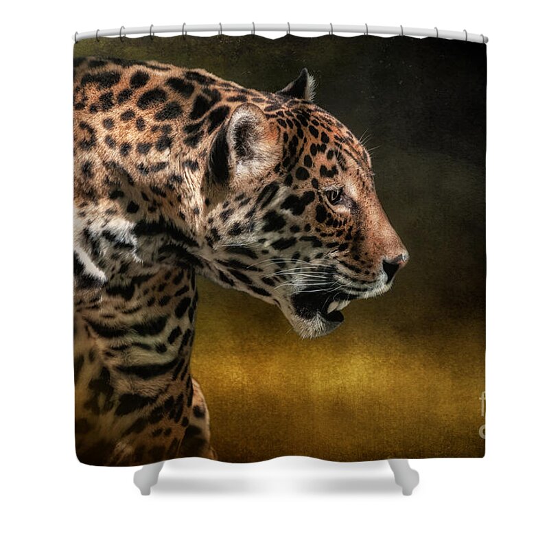 Jaguar Shower Curtain featuring the photograph Who Goes There by Lois Bryan
