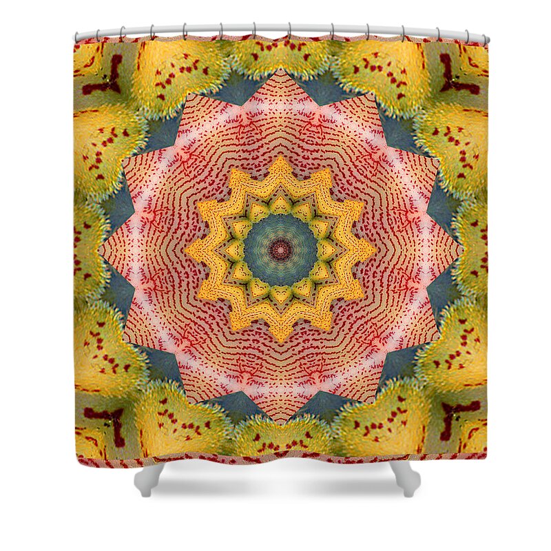 Mandalas Shower Curtain featuring the photograph Wholeness by Bell And Todd