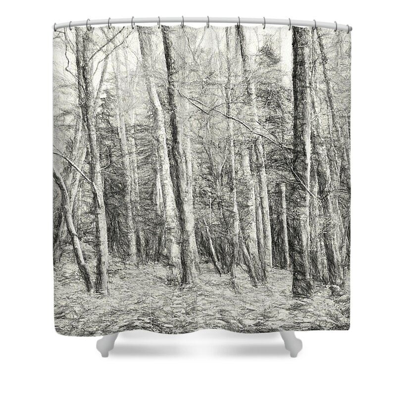 Greeting Card Shower Curtain featuring the photograph Whose Woods These Are I Think I Know by Allan Van Gasbeck