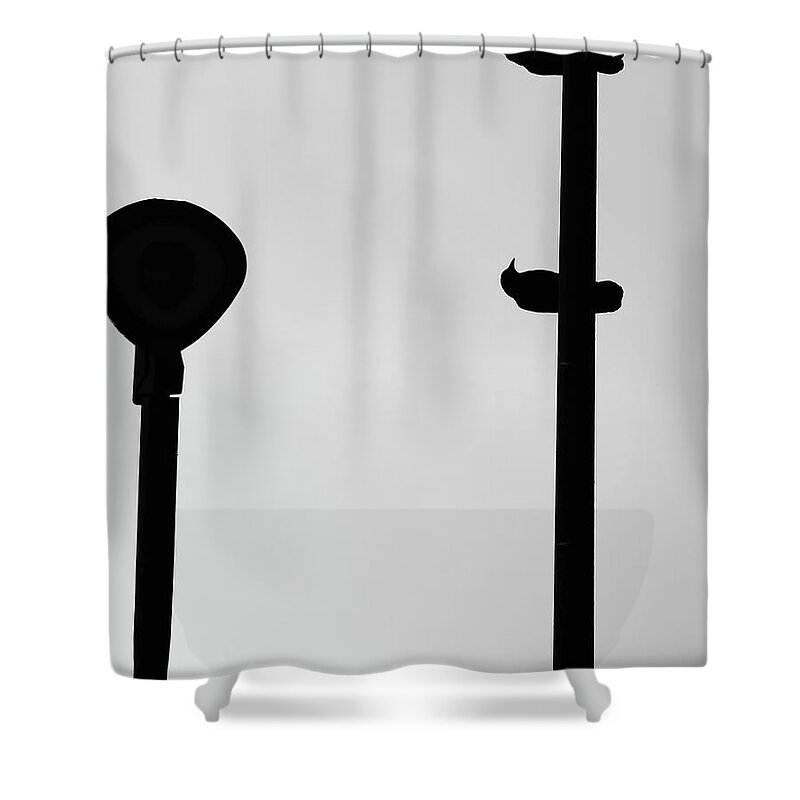 Street Photography Shower Curtain featuring the photograph Why Do We Fight by J C